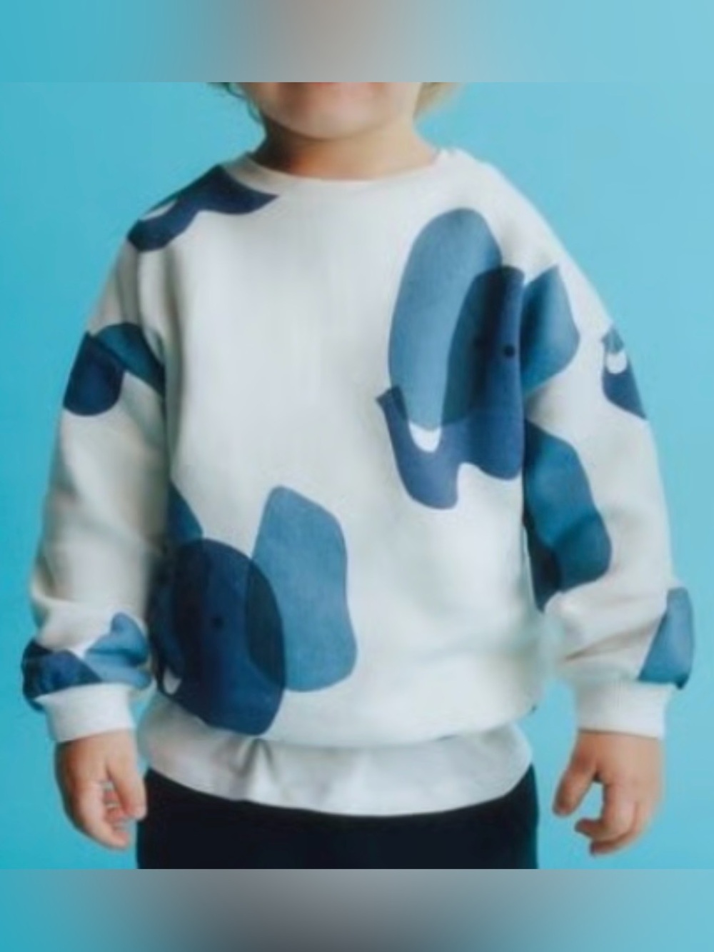 Zara Kids White Sweatshirt with Blue Elephant Motif